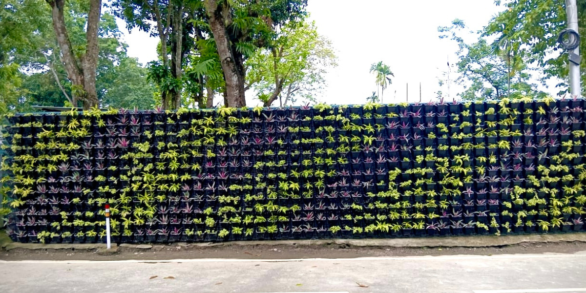 Irrigation & Drainage