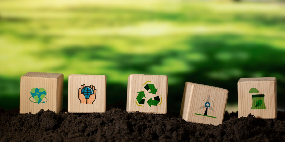 Sustainability & Environment